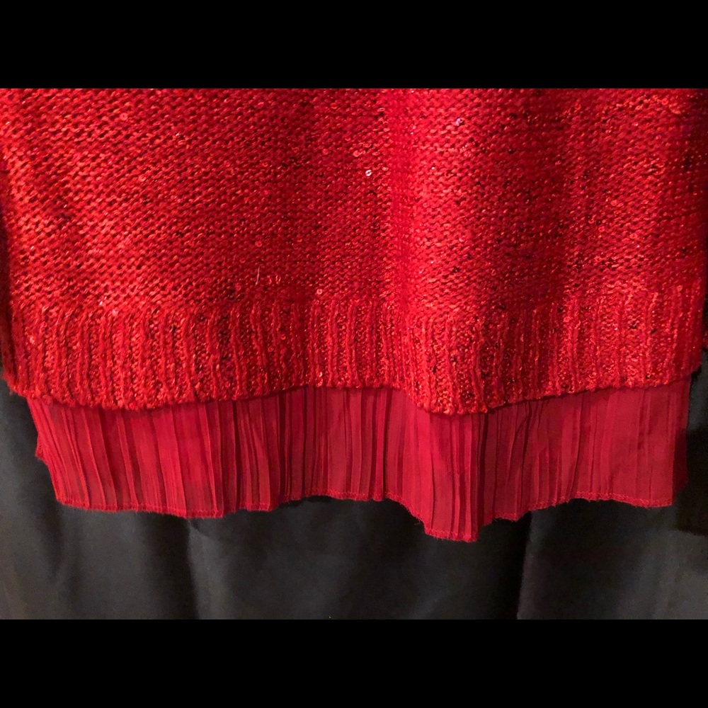 Sequin Sweater Bundle - image 6